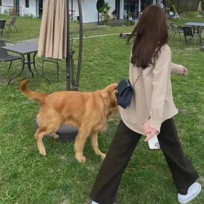 迷失：消失的女人